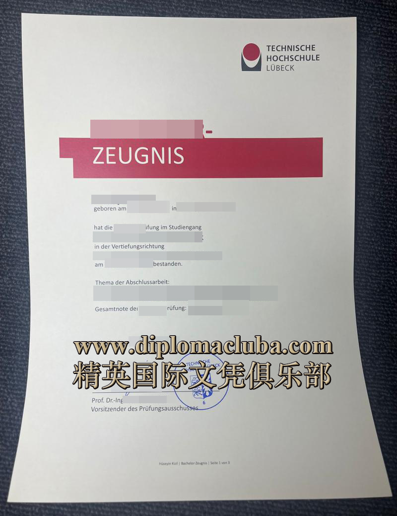 吕贝克应用科学大学成绩单