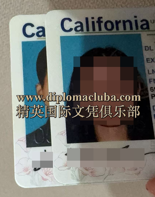 定做加州驾照