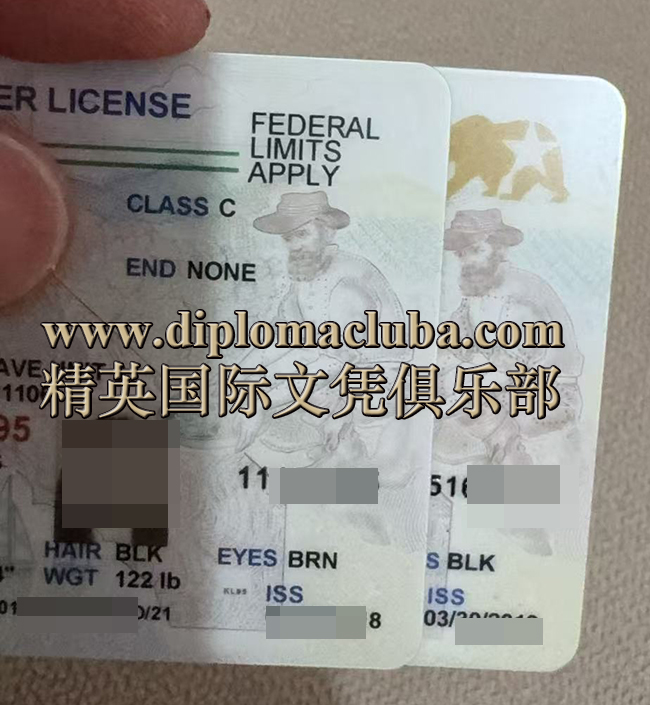 定制加州驾照