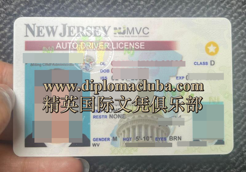 新泽西州驾照