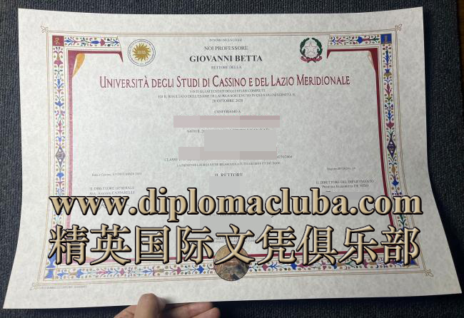 卡西诺-南拉齐奥大学文凭