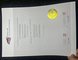 香港城市大学文凭, City University of Hong Kong Diploma