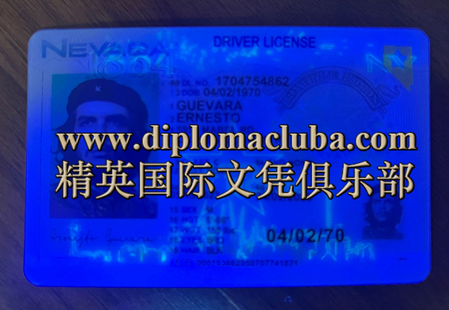 内华达州驾照正面-荧光