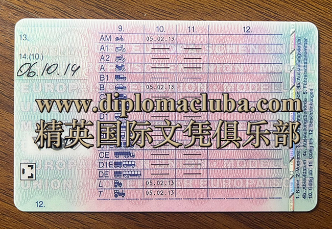 德国驾照背面
