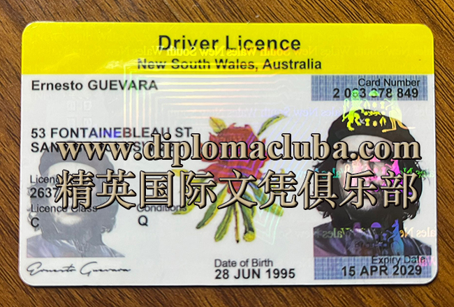 新南威尔士州驾照