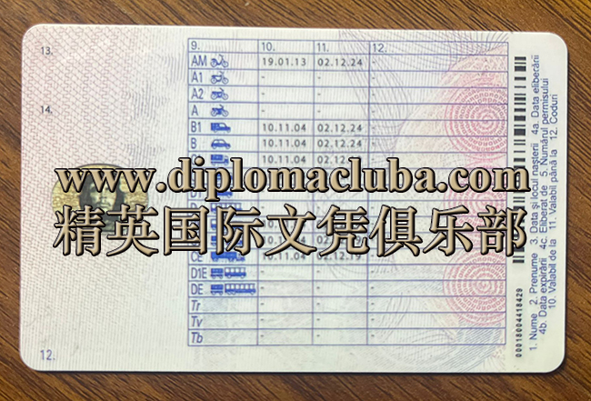 罗马尼亚驾照背面