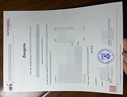 高仿真美因茨大学成绩单 | 复刻一比一JGU美因茨大学成绩单 | 如何快速办理美因茨大学成绩单?