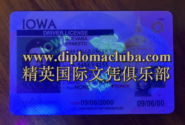 艾奥瓦州驾照正面-荧光