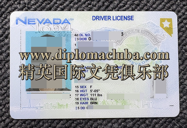 内达华州驾照