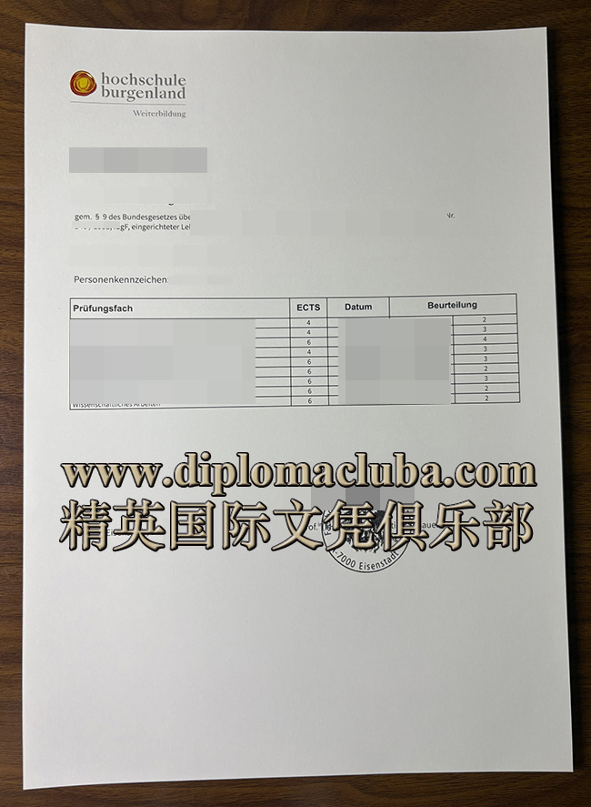 布尔根兰应用科学大学成绩单