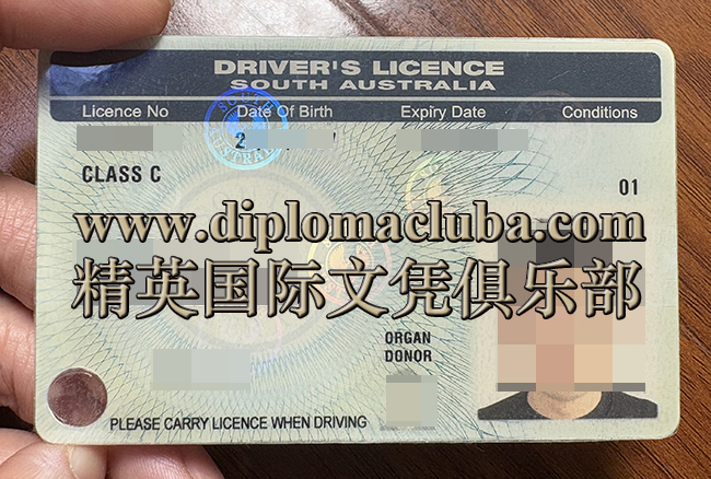 南澳驾照