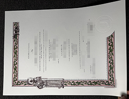 罗马第二大学文凭，University of Rome Tor Vergata Diploma