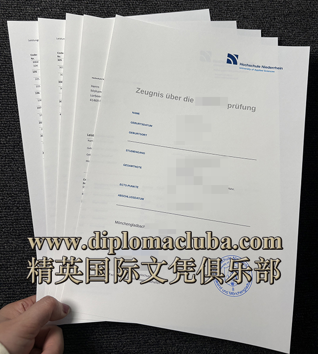 下莱茵应用技术大学成绩单