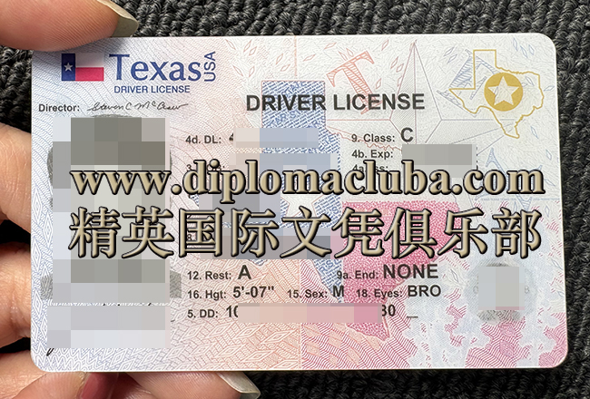 德州驾照