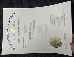 拉曼大学学院文凭，Tunku Abdul Rahman College diploma