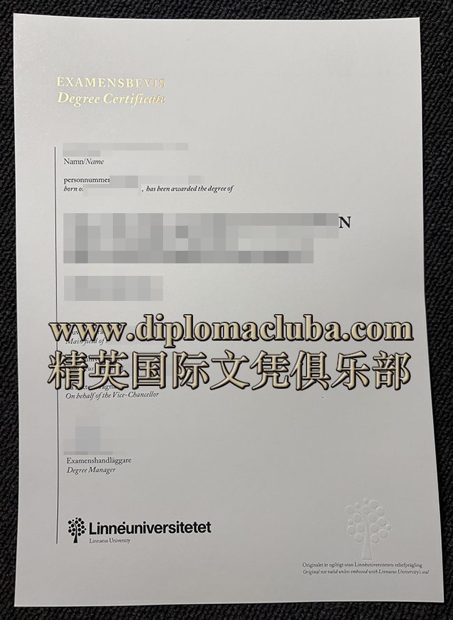 林奈大学毕业证