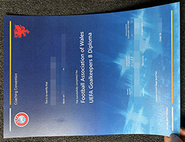 欧洲足联守门员B级教练证书，UEFA Goalkeepers B Diploma Online
