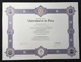 比萨大学文凭，University of Pisa degree certificate