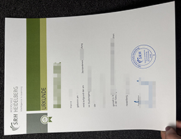 海德堡SRH应用技术大学文凭，SRH Hochschule Heidelberg Urkunde