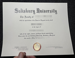 索尔兹伯里大学文凭，Salisbury University Degree