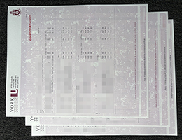 约克大学成绩单 |  York University Academic Transcript