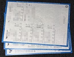 纽约州立大学布法罗分校成绩单 | University at Buffalo, SUNY Transcript