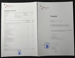 莱茵兰-普法尔茨工业大学成绩单 | RPTU Zeugnis With Courses