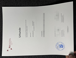 莱茵兰-普法尔茨工业大学文凭 | RPTU Urkunde Certificate Online