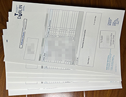 都柏林大学大学成绩单，University College Dublin Transcript
