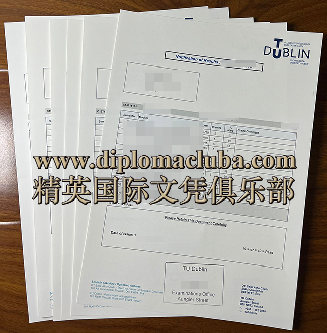 都柏林大学大学成绩单