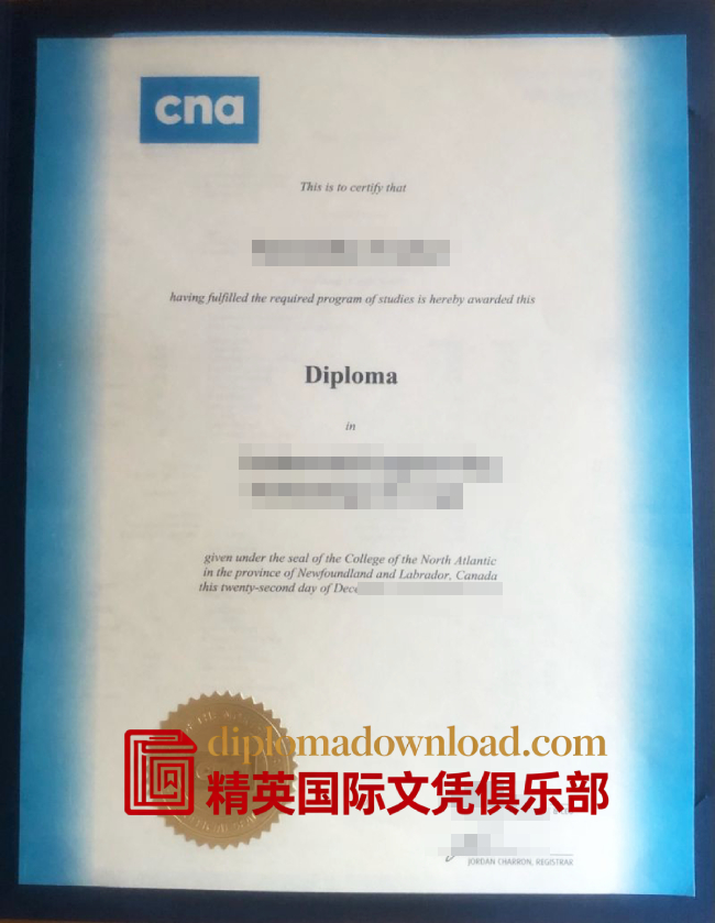北大西洋学院文凭
