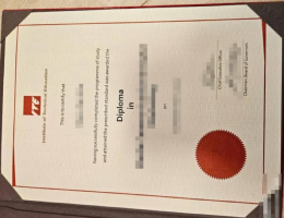 工艺教育学院毕业证，Institute of Technical Education Diploma