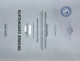 拉普兰应用科学大学文凭，LAPIN AMK Degree