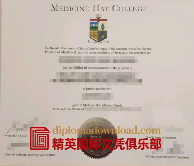 梅迪辛哈特学院文凭