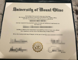 橄榄山大学文凭，University of Mount Olive Diploma