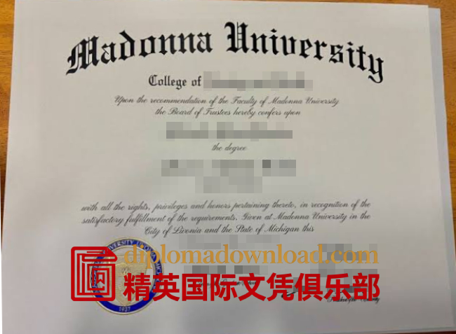 麦当娜大学毕业证